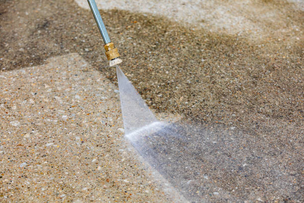 Best Dumpster Area Cleaning  in Burnham, IL