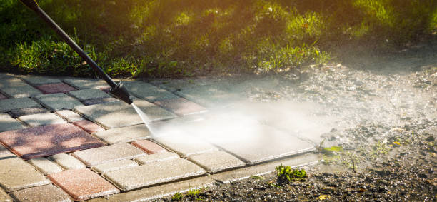 Animal Enclosure Cleaning in Burnham, IL